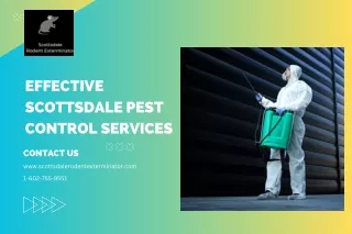 Effective Scottsdale Pest Control Services | Scottsdale Rodent Exterminator