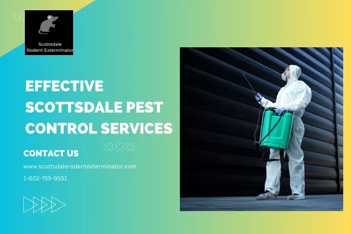 effective scottsdale pest control services