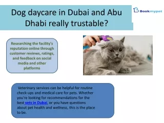 Dog daycare in Dubai and Abu Dhabi really