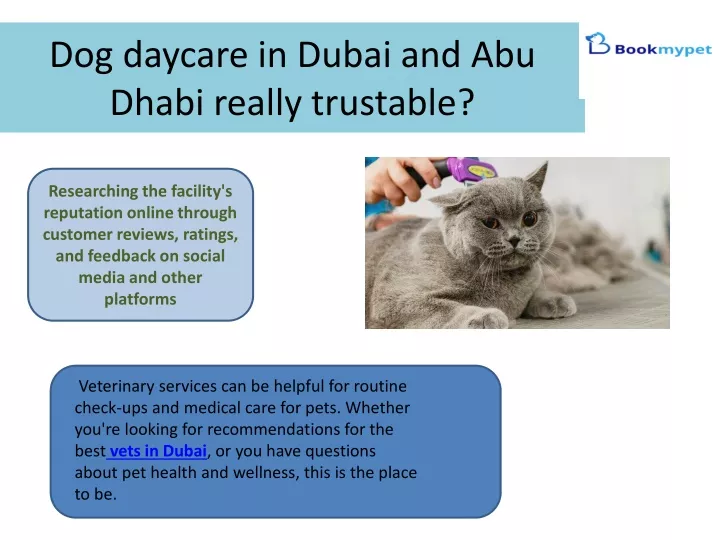 dog daycare in dubai and abu dhabi really trustable