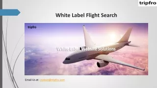 white label flight search
