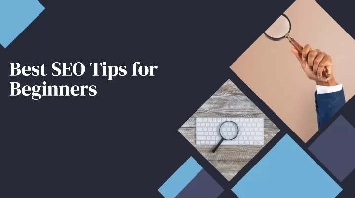 best seo tips for beginners beginners beginners