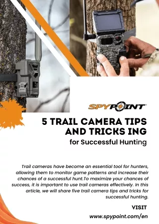 5 Trail Camera Tips and Tricks for Successful Hunting