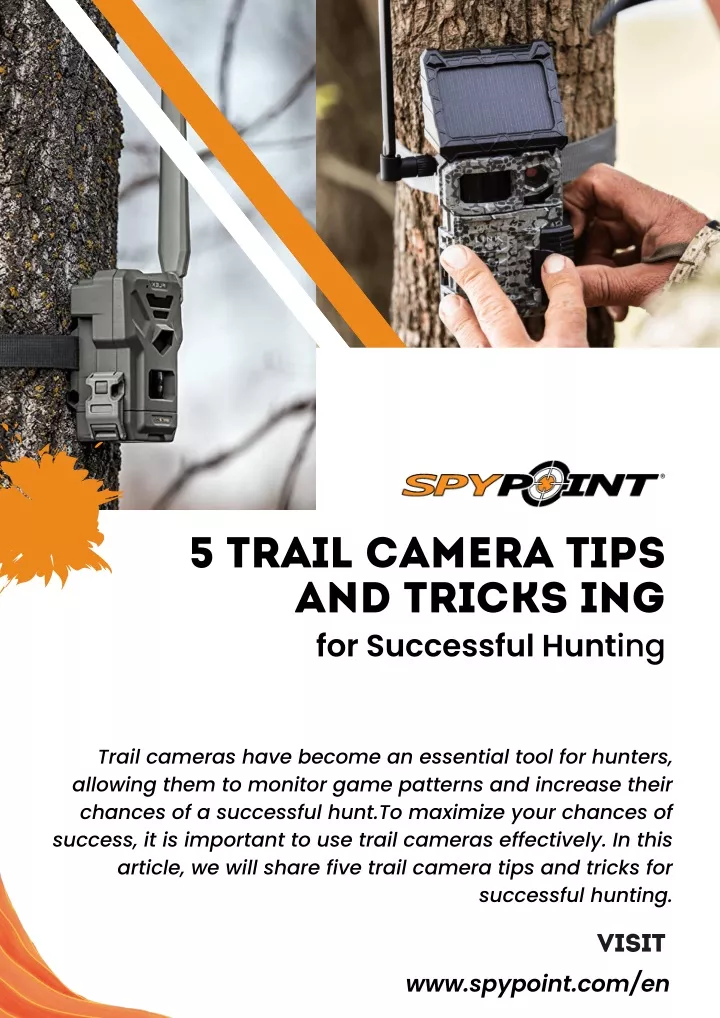 5 trail camera tips and tricks ing for successful