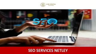 SEO Services Netley