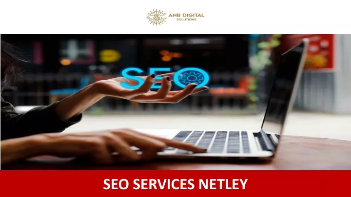 seo services netley