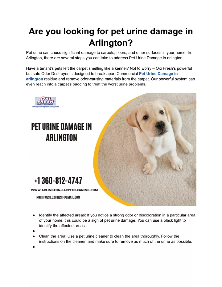 are you looking for pet urine damage in arlington