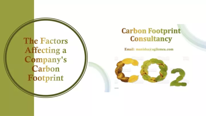 the factors affecting a company s carbon footprint