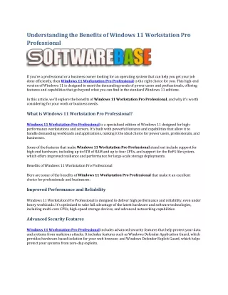 understanding the benefits of windows