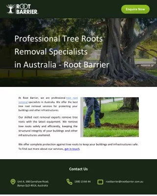 Professional Tree Roots Removal Specialists in Australia – Root