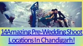 14 Amazing Pre-Wedding Shoot Locations In Chandigarh by Mohit Bansal Chandigarh