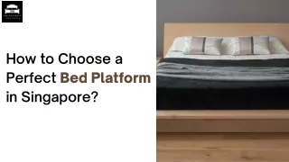 How to Choose a Perfect Bed Platform in Singapore