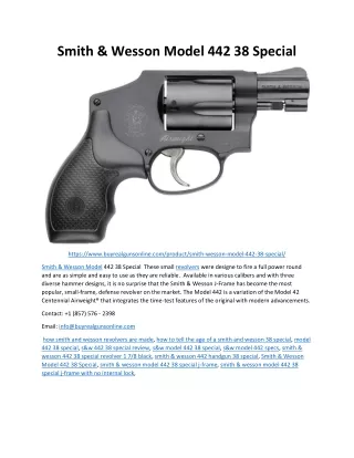 Smith & Wesson Model 442 38 Special