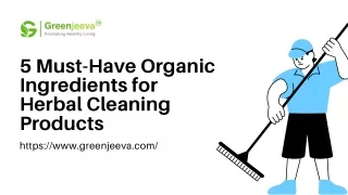 5 Must-Have Organic Ingredients for Herbal Cleaning Products