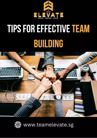 Tips for Effective Team Building