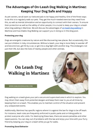 Advantages of On-Leash Dog Walking in Martinez Keeping Your Dog Safe and Happy