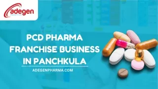 PCD Pharma Franchise Business in Panchkula