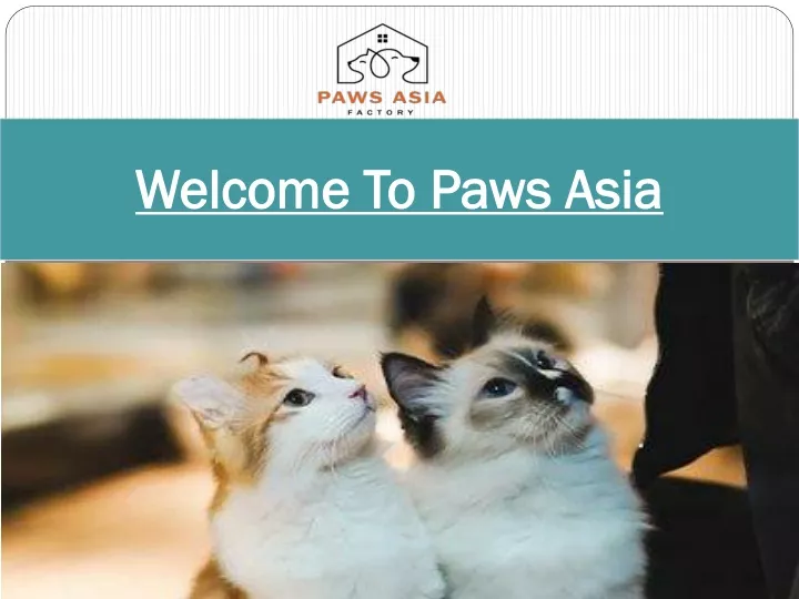 welcome to paws asia