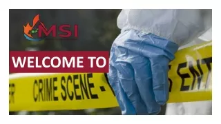 welcome to
