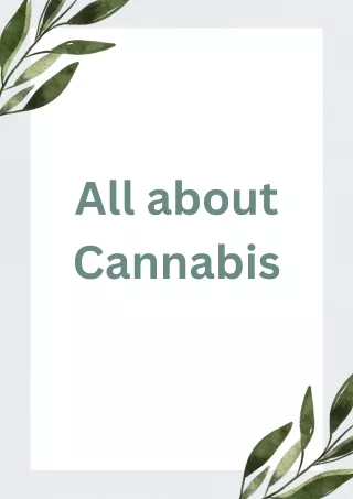 All about cannabis