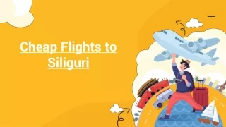 Cheap Flights to Siliguri