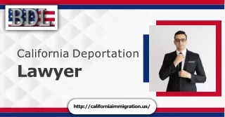 The Role of Deportation Lawyers in Protecting Immigrants' Rights