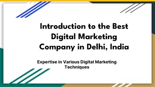 The Best Digital Marketing Company In Delhi India