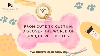From Cute to Custom: Discover the World of Unique Pet ID Tags