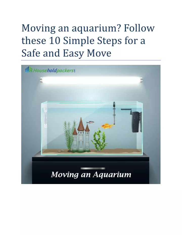 moving an aquarium follow these 10 simple steps