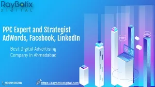 PPC Expert and Strategist | Adwords, Facebook, LinkedIn