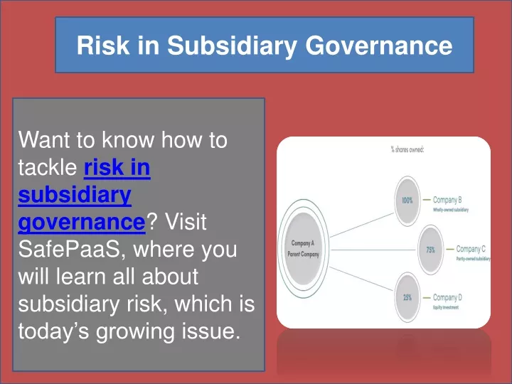 risk in subsidiary governance