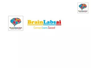 Brainlabsai