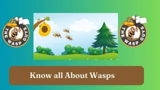 Know all About Wasps
