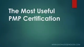 t he most u seful pmp certification