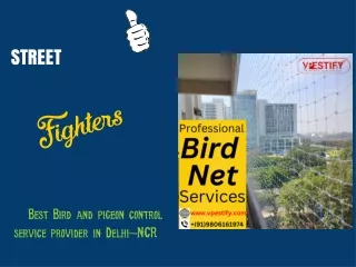 Pigeon netting Installation Services in Gurgaon-Vlpestify