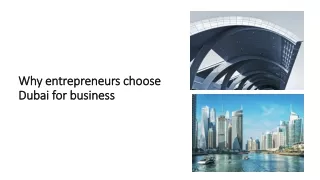 Why entrepreneurs choose Dubai for business