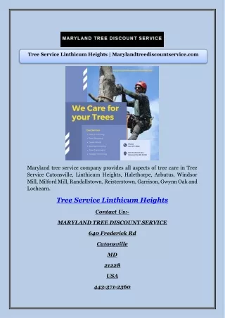 Tree Service Linthicum Heights | Marylandtreediscountservice.com