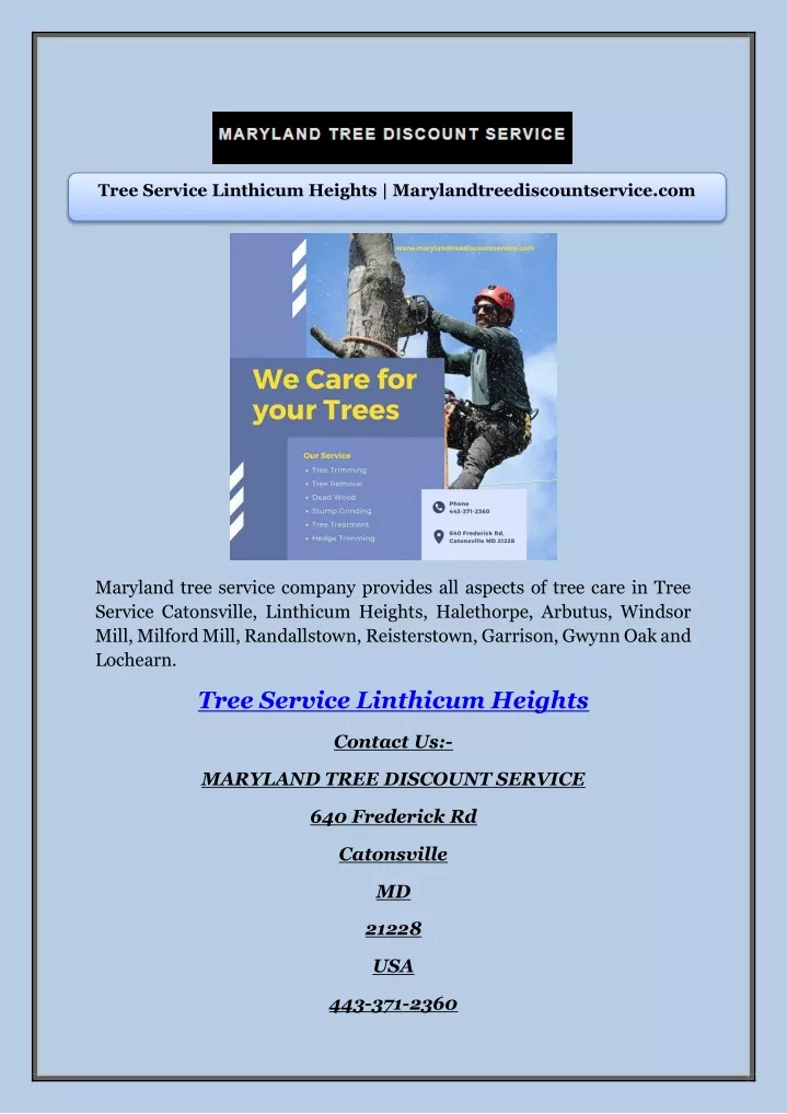 tree service linthicum heights