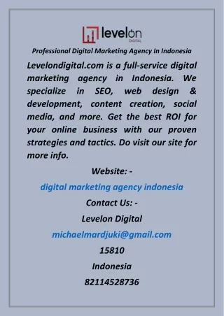 Professional Digital Marketing Agency In Indonesia