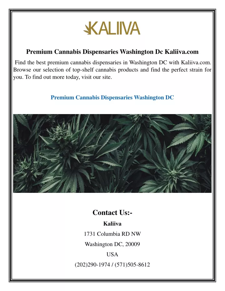 premium cannabis dispensaries washington