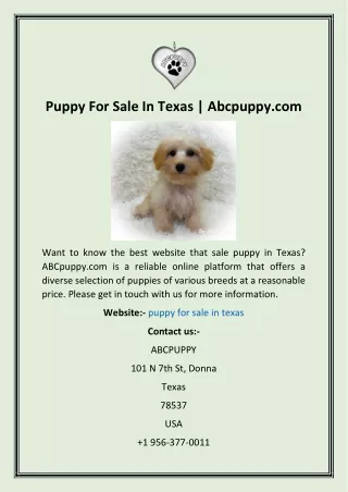 puppy for sale in texas abcpuppy com