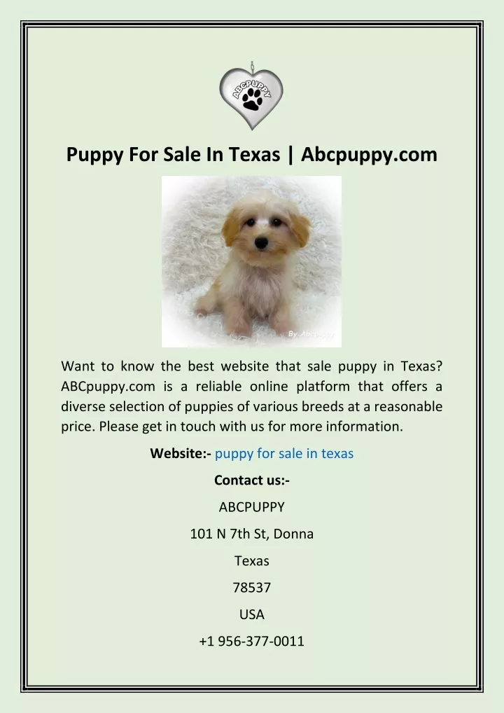 puppy for sale in texas abcpuppy com