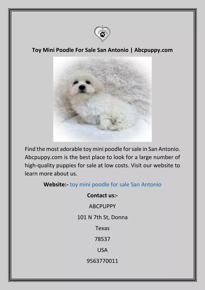 toy mini poodle for sale san antonio abcpuppy com