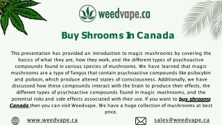 Buy Shrooms In Canada - Weedvape