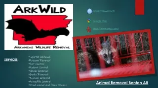 Animal Removal Benton AR