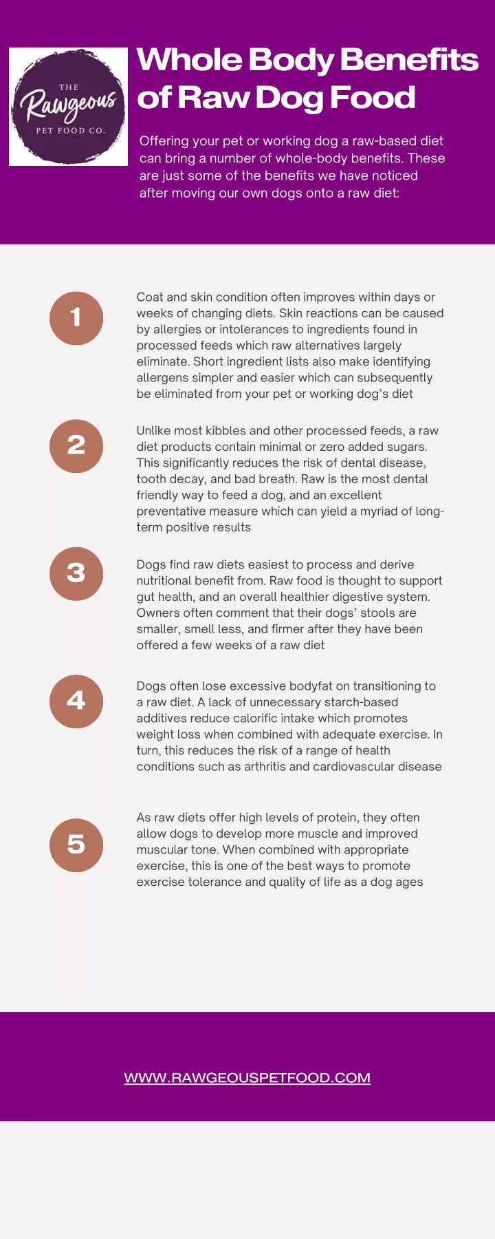 whole body benefits of raw dog food