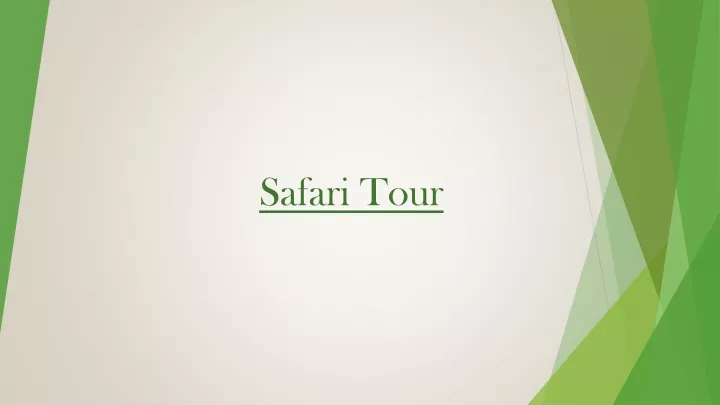 safari tour
