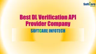 best dl verification api provider company