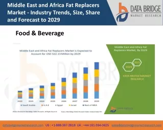 Middle East and Africa Fat Replacers Market