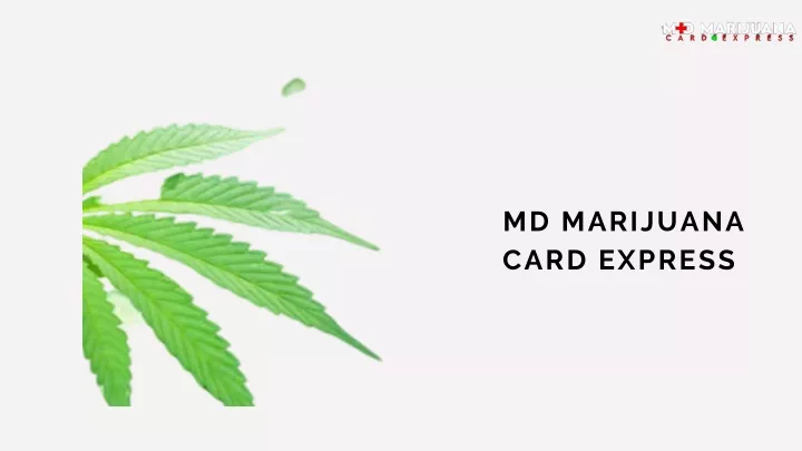 md marijuana card express